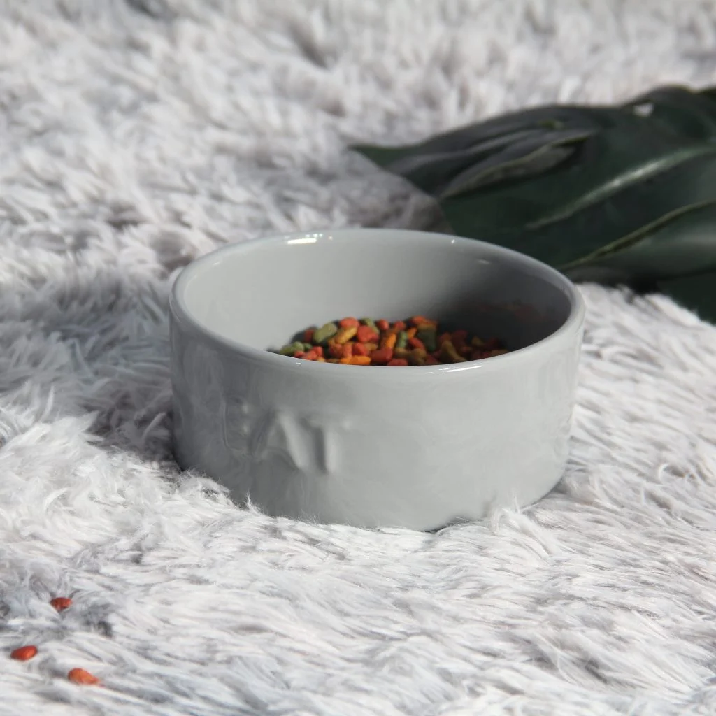 Vì Sao Nên Chọn Chén Ăn Thú Cưng Chất Lượng Cho Chó Mèo?