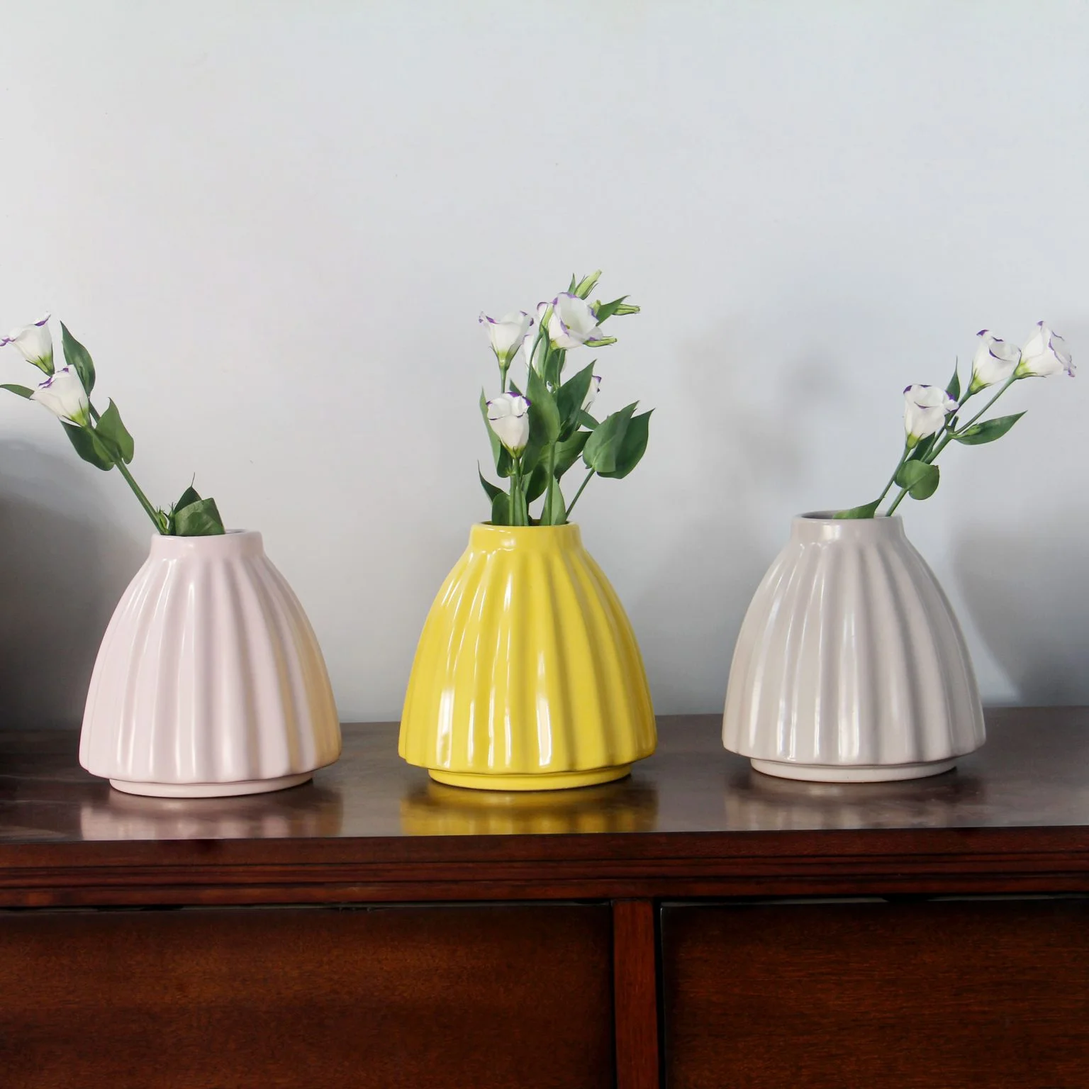 Top Chậu Hoa Phòng Khách Trang Trí Đẹp Cho Nhà Phố