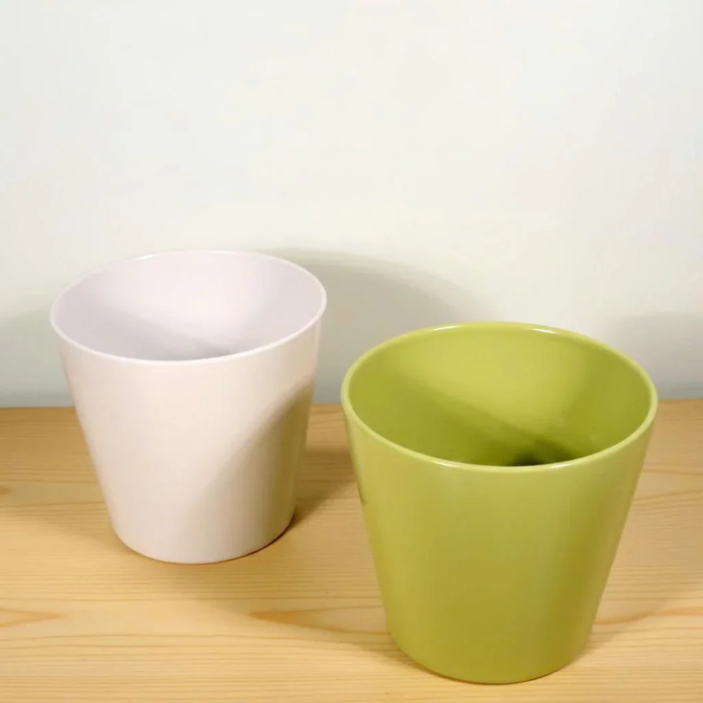 Chậu Cây Decor Trong Nhà: Điểm Nhấn Xanh Cho Không Gian Sống Hiện Đại