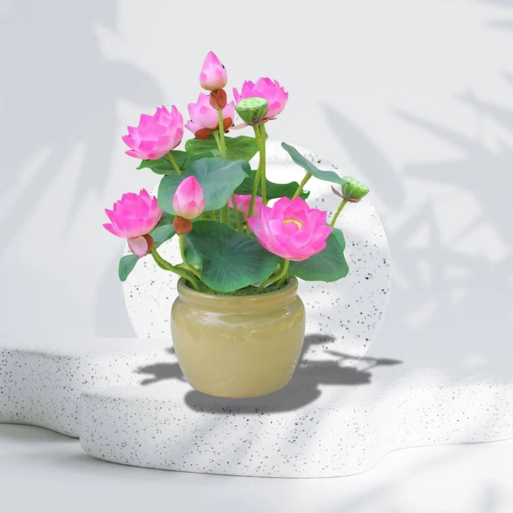 Gợi Ý Chậu Cây Cảnh Trong Nhà Đẹp Giúp Không Gian Thêm Sinh Động 3 Gợi Ý Chậu Cây Cảnh Trong Nhà Đẹp Giúp Không Gian Thêm Sinh Động