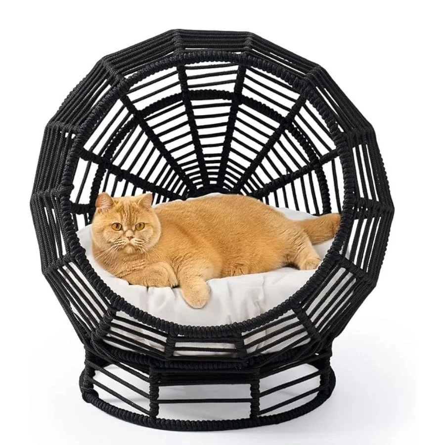 Nhà cho chó mèo cao cấp