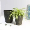 Milan Urn Poly Planter (Set Of 2) – Green Brown 13 Milan Urn Poly Planter (Set Of 2) – Green Brown