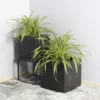 Rhine Square Poly Planter (Set Of 2) – Black 19 Rhine Square Poly Planter (Set Of 2) – Black