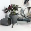 Rugen Cylindrical Round Poly Planter (Set Of 2) – Dark Grey 17 Rugen Cylindrical Round Poly Planter (Set Of 2) – Dark Grey