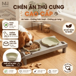 Home 54 Chén Ăn Thú Cưng Nâng Cao Kèm Kệ Gỗ – Thiết Kế Hiện Đại, Chống Gù Cho Chó Mèo
