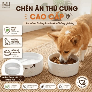 Home 52 Chén Sứ Ăn Uống Cho Thú Cưng 16.5cm - Màu Trắng – Bát Sứ Cao Cấp Cho Chó Mèo