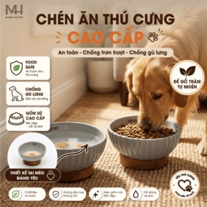 Home 50 Chén Ăn Thú Cưng Gốm Sứ Kèm Đế Gỗ – Thiết Kế Nâng Cao, An Toàn Cho Chó Mèo