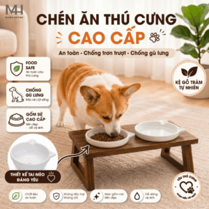 Chén Ăn Thú Cưng Nâng Cao Kèm Kệ Gỗ – Thiết Kế Tai Mèo Đẹp, Chống Gù, An Toàn Cho Chó Mèo